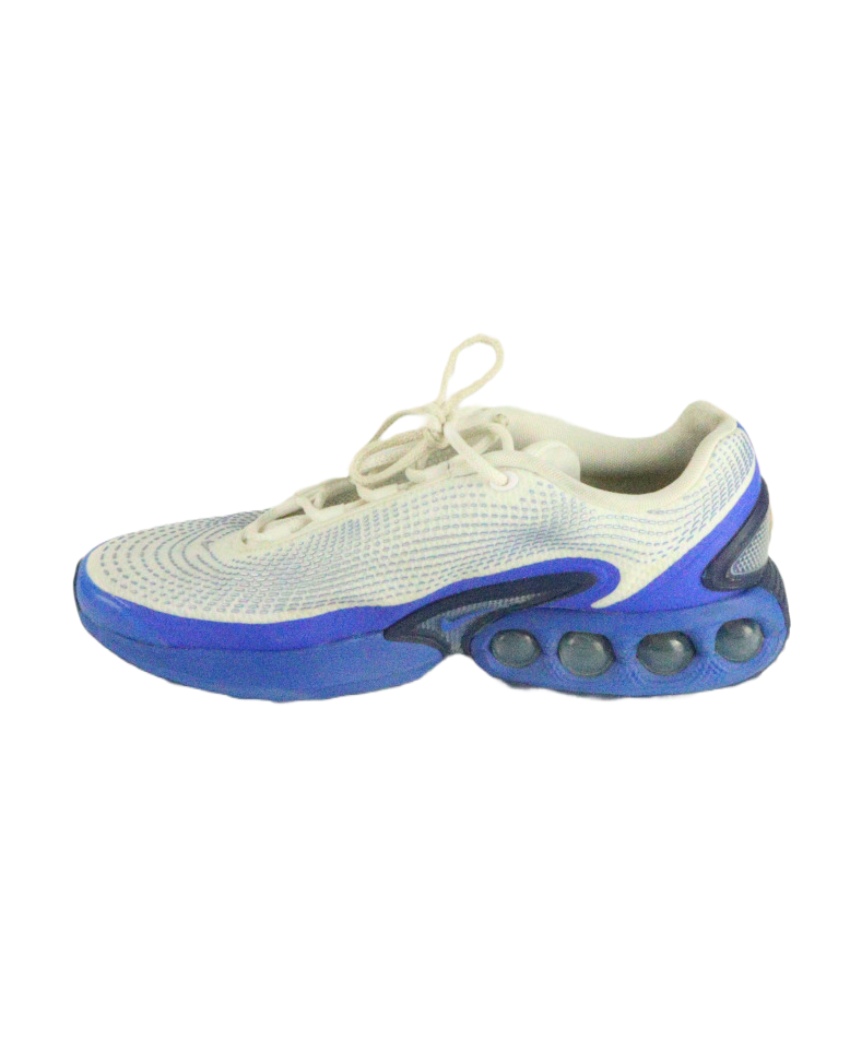 Nike DN White/Blue (EU45)