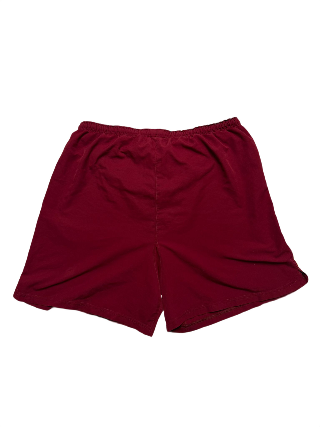 Nike Shorts (L/XL)