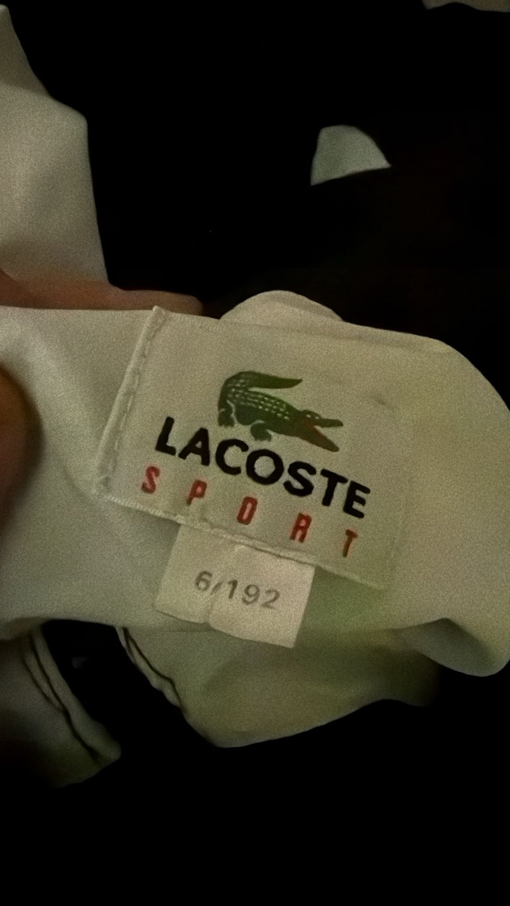 Lacoste Jumper (XL)